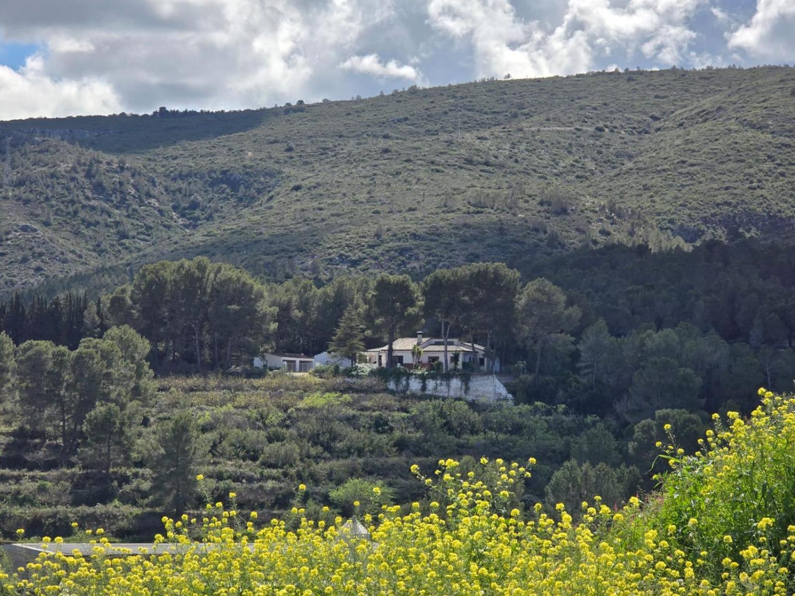 Casa Rural El Parais, Naturalmente. Agullent 외부 사진